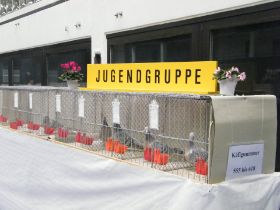 RTC 2010036.jpg